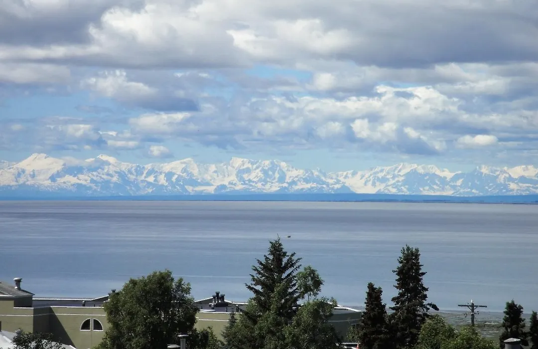 Susitna Place B&B-1